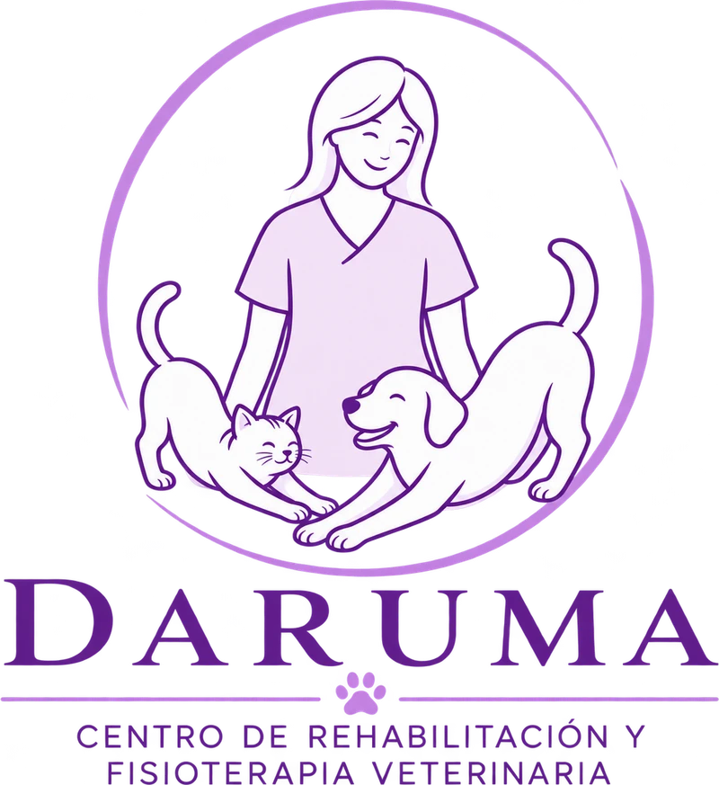 Daruma — Centro de Rehabilitación y Fisioterapia Veterinaria